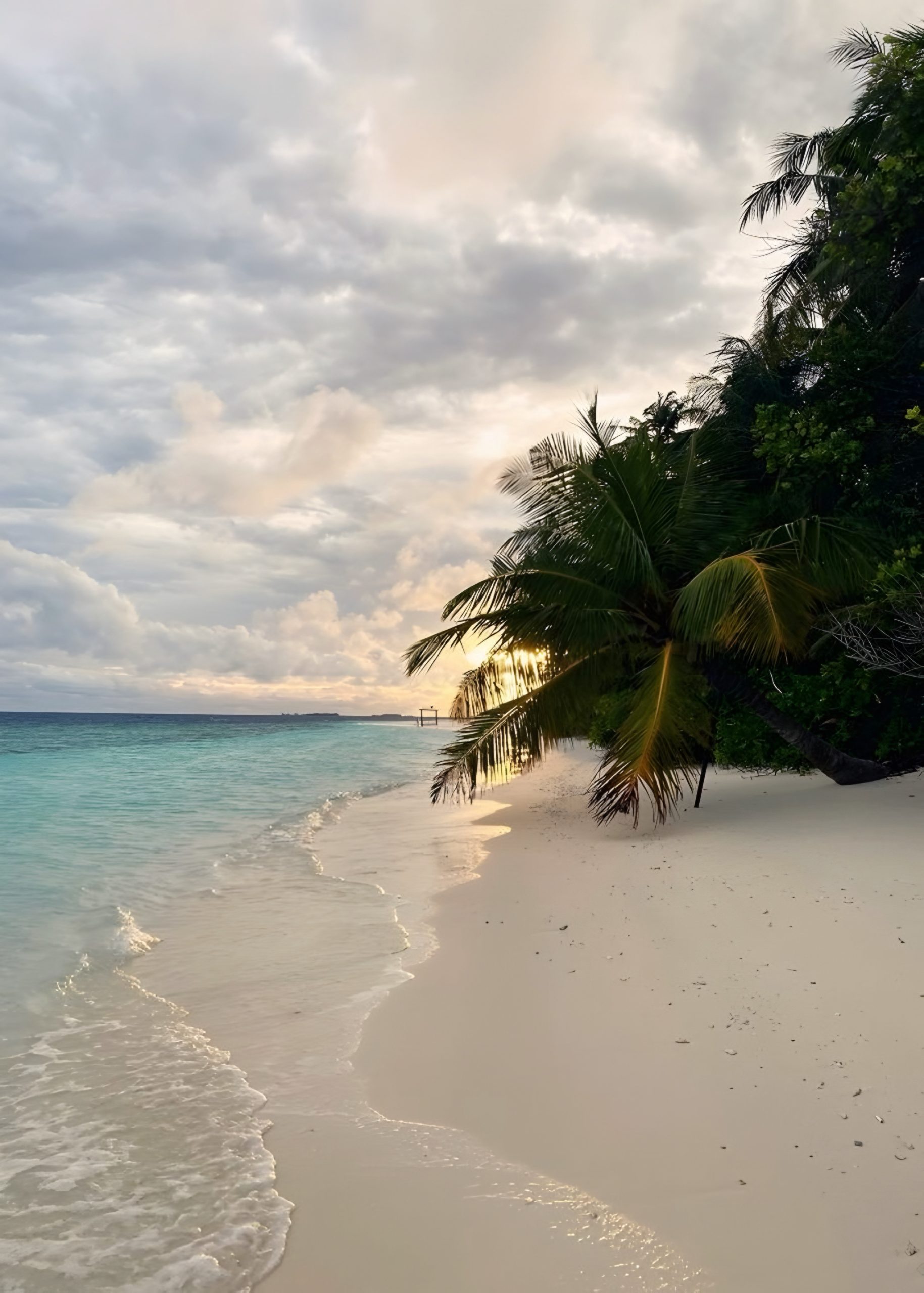 Hey Island Morning ( Coral island )_